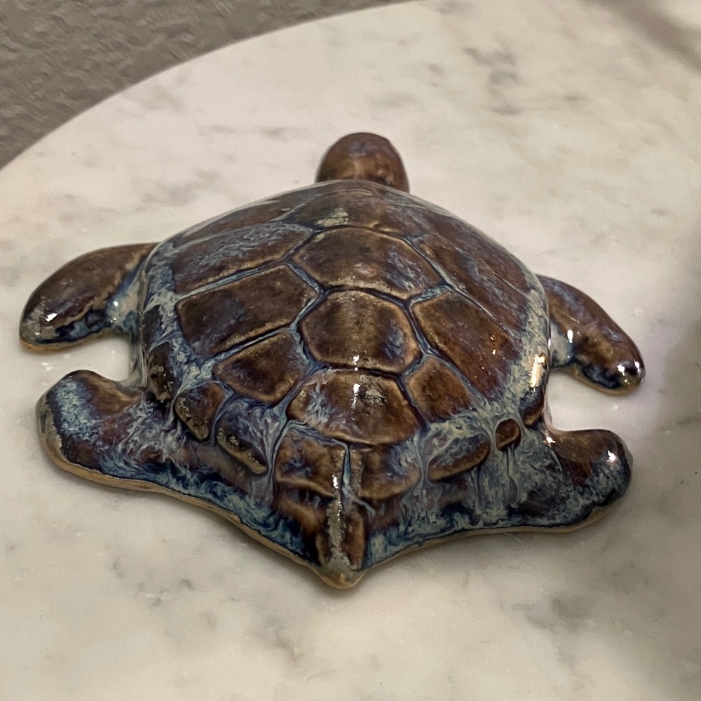 Sea Turtle - Picture 5 of 11